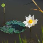 Hupomone life Profile Picture