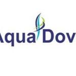 Aqua Dove Profile Picture