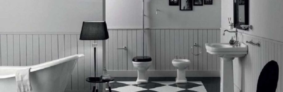 Saniterica . Cover Image