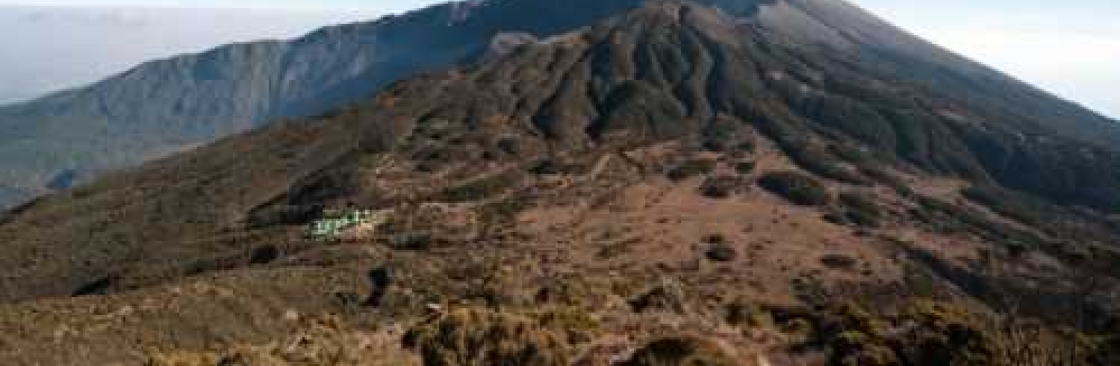 Kimgoni Tanzania Safaris Cover Image