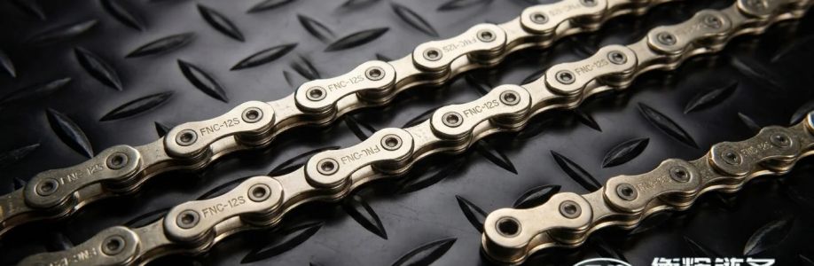 mountain bike chain Cover Image