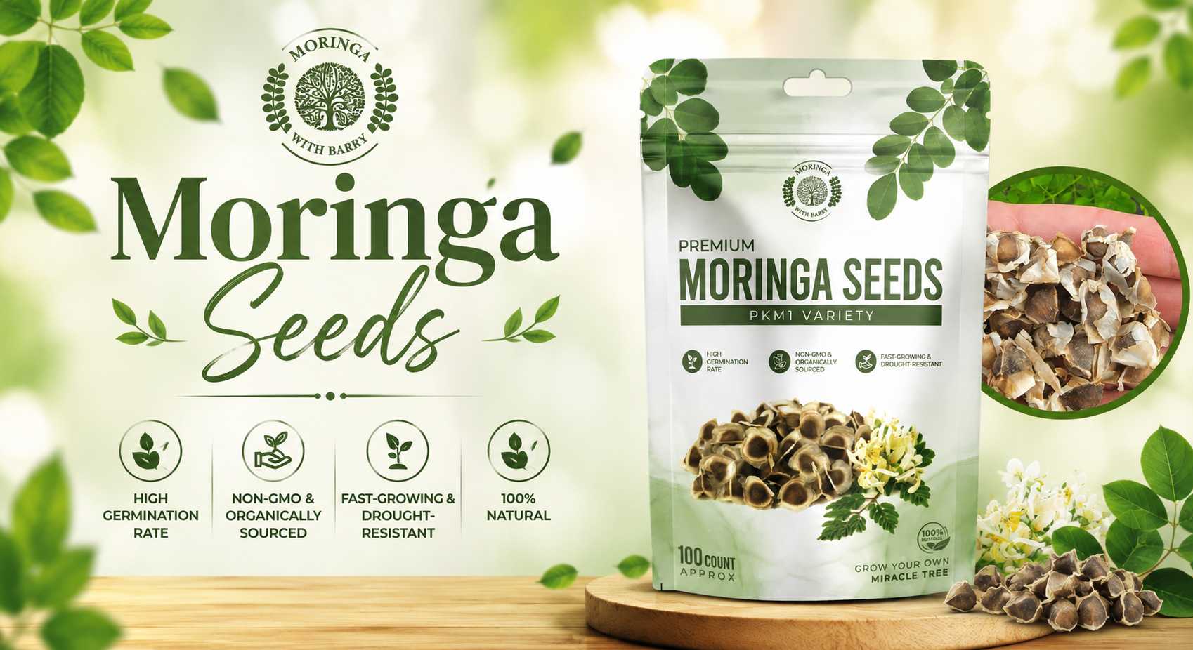 How to Grow Successfully with Premium Moringa Tree Seeds at Home