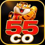 55co 55co Profile Picture